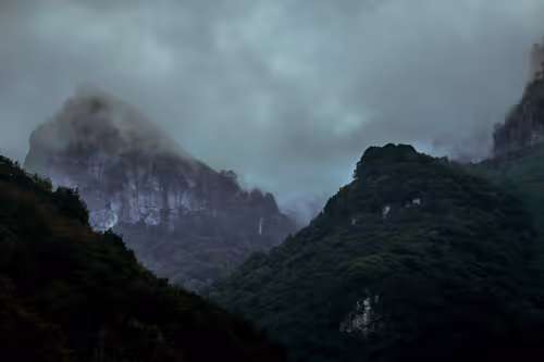 Item #18777940910832526226303977857919740677388512557610933360440146417966569750592 Media