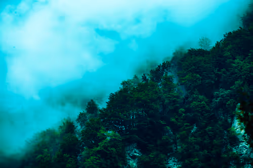 Item #18777940910832526226303977857919740677388512557610933360440146417966569750591 Media