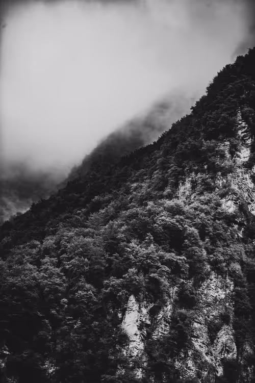 Item #18777940910832526226303977857919740677388512557610933360440146417966569750537 Media