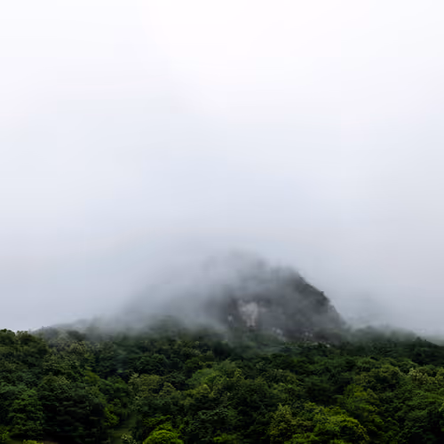 18777940910832526226303977857919740677388512557610933360440146417966569750581