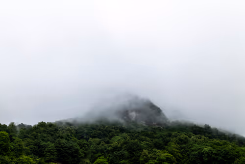 Item #18777940910832526226303977857919740677388512557610933360440146417966569750581 Media