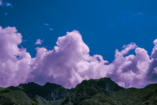 Item #18777940910832526226303977857919740677388512557610933360440146417966569750572 Media