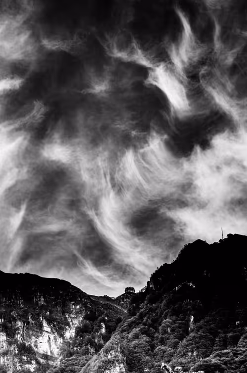 Item #18777940910832526226303977857919740677388512557610933360440146417966569750579 Media