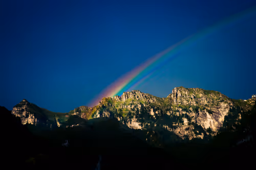 Item #18777940910832526226303977857919740677388512557610933360440146417966569750534 Media