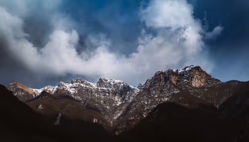 Item #18777940910832526226303977857919740677388512557610933360440146417966569750601 Media