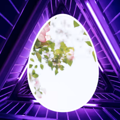 Tweet Dao Eggs