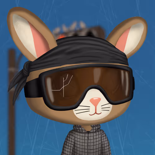 Digit Rabbits
