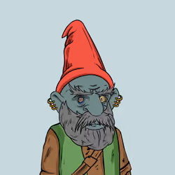 gnometown #1493