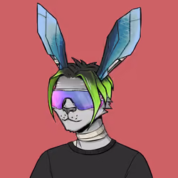 Spike #2455