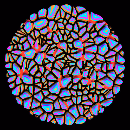 Parasitic By Noah #312