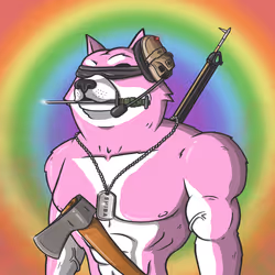 Shiba Army #352