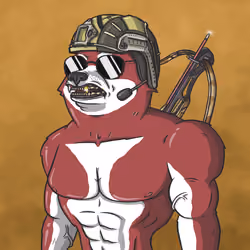 Shiba Army #6809