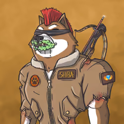 Shiba Army #3158