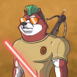 Shiba Army #2011
