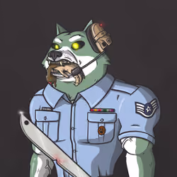 Shiba Army #2806