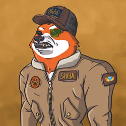 Shiba Army #1665