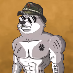 Shiba Army #426