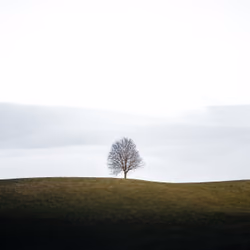 Clarity