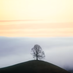 Tree of Life