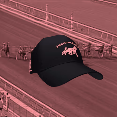 Siegelman Stable Hat - Bubble Gum