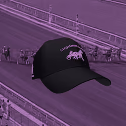 Siegelman Stable Hat - Purple