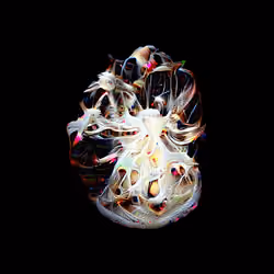 Divinity Cells #51 serie 2