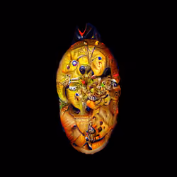 Divinity Cells #1456 serie 1