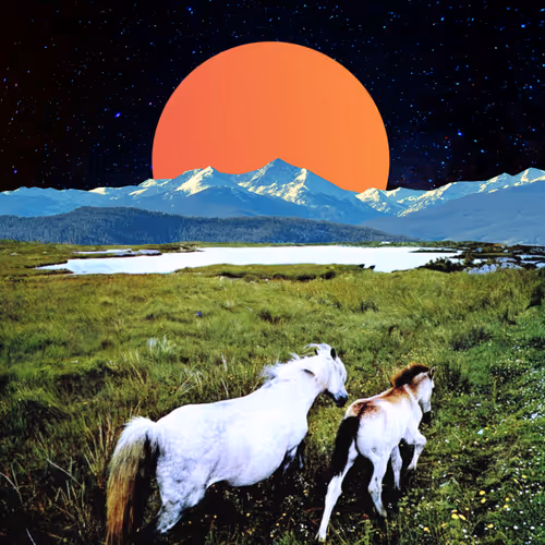 Lost & Found Memories