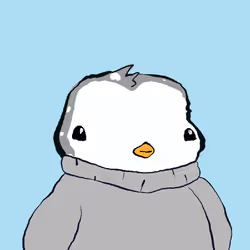 576