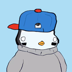 243
