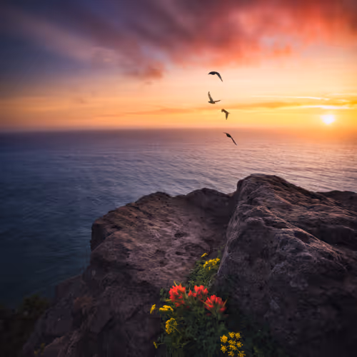 Colors of the day V2