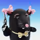 4361