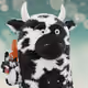 5537