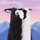 2793