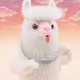 2700