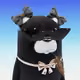 5067