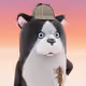 5164