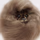 5405