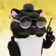 5217