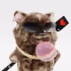 4802