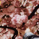 Aesthetics - NlIExTwv0U