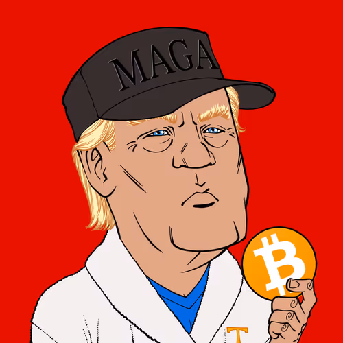Trump 441