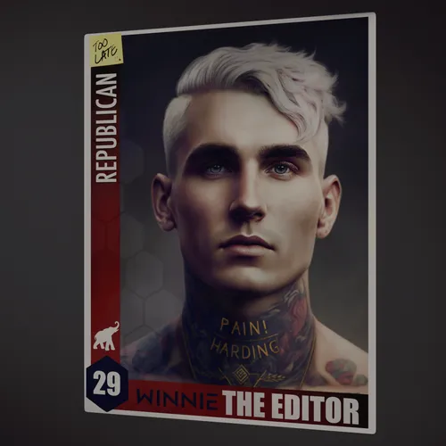 Item #29 Media