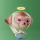 1606