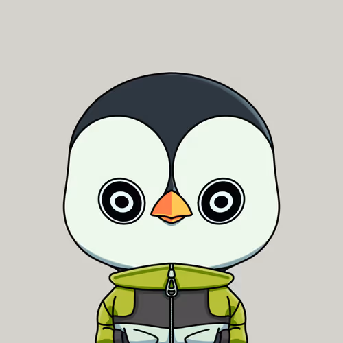 Flightless Space Agency