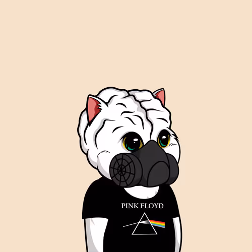 Bigbraincatsociety