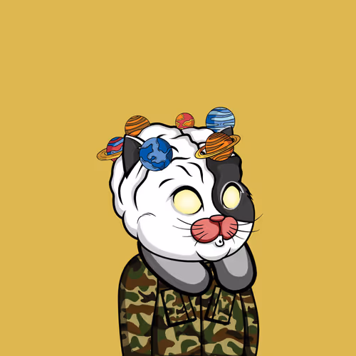 Bigbraincatsociety