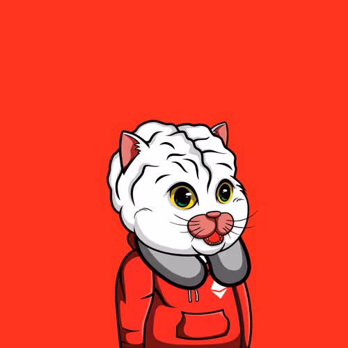 Bigbraincatsociety