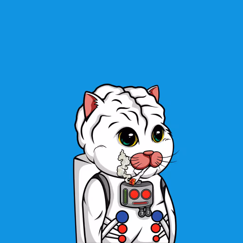 Bigbraincatsociety