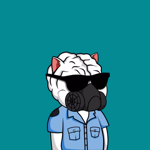 Bigbraincatsociety